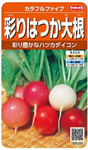 TJ^̃^l 5370 Jtt@Cu ʂ͂卪 00925370