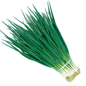 ITANSE ˂̕cyؕc 9cm|bg c/2Zbgz|bgcȂ̂ŔNAt\!utlM̉lvׂ˂Bs`؁I؂݂؂ɂΗ̖򖡂