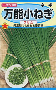 Ѓg[zN tlM \lM X 02378 