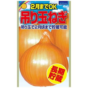 ʂ˂̎ ؂̎큄 ݂ʂ2܂Œ\