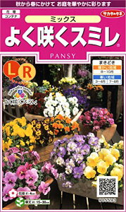 TJ^̃^l 5593 悭炭X~ ~bNX 00905593