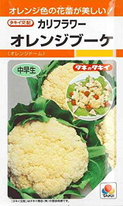 ^LCc Jt[IWu[P ؎IWh[H܂RF/0.6ml