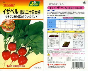 JlRc |E KS200V[Y CUx Ԋۓ\卪 200 291