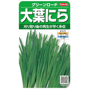 TJ^̃^l j tɂ O[[h̃^l ̍Đ