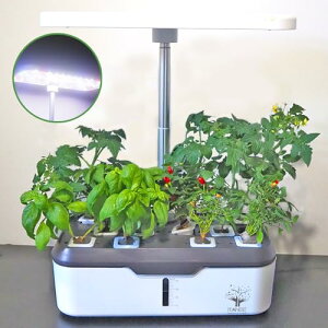 ITANSE k͔|X}[gv^[ 琬LEDCgt12 1y엿/qt(tďHp&n[uqAZbg)z