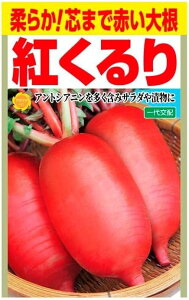 g卪̎ ؂̎큄 _炩c܂ŐԂ卪