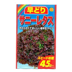 ǂ Tj[^X̎ 炩Ă ɑ^Cv