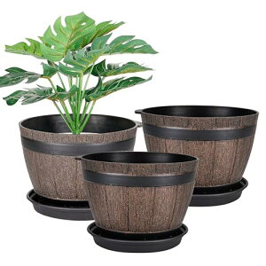 VECELO Aؔ  19cm×14cm A 3_Zbg v^[ 󂯎Mt t  A CeA ϗtA  Co|bg ItBX   Vv v^[o