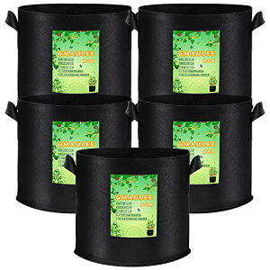 GMAULEE sDzv^[ ͔| z 3K5Zbg tFg A A琬  ʋC t ԍ͔| ؍͔| |ʕ͔|