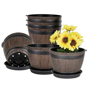 VECELO Aؔ  19cm×14cm A 6_Zbg v^[ 󂯎Mt t  A CeA ϗtA  Co|bg ItBX   Vv v^[o