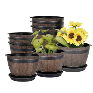 VECELO Aؔ  19cm×14cm A 9_Zbg v^[ 󂯎Mt t  A CeA ϗtA  Co|bg ItBX   Vv v^[o