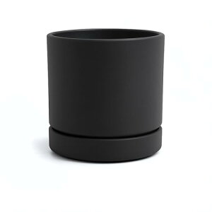 Greenship Aؔ 󂯎Mt 5i15.8CMj }bgȃIV GRf DF (ubN, 5)