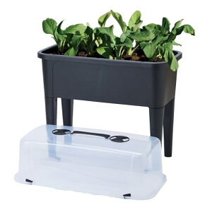 Grow Veggies CYhxbhv^[ BK 760 | nC^Cv ` Aؔ  |pi K[fjO ړ O  K[f ƒ؉ y 񂹐A g}g iX LE rt X^h 