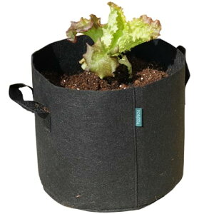 sDzv^[ 5K 2 x_͔| sDz|bg Aؔ 29cm×25cm 16bg 10 y Ȃ ƒ؉ ͔| z z FORESIA ubN