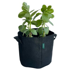 sDzv^[ 3K 2 x_͔| sDz|bg Aؔ 24cm×22cm 10bg y Ȃ ƒ؉ ͔| z z 8 FORESIA ubN