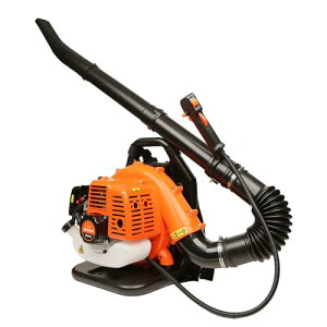 GWu[ toL[ u[oL[ u[ t|@ uA w  2TCN tW z@