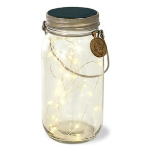 LV} \[[K[fCg Clear W31 D8.5 H35 KL-10338