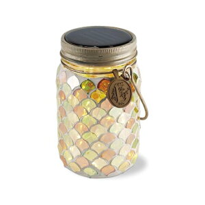 LV} \[[K[fCg \[[Cg UCNKX^Cv CitrusNutEKL-10354 O[ 80×H135mm(܂܂) STCY