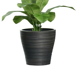 Greenship Aؔ 3 Jo[ ^e[u vX`bNΕ 蒤U^  Jo[ OC