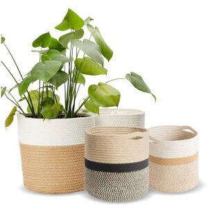 [RR`G] Jo[ [v Aؔ Jo[ 5 6 7 8 9 oXPbg JS ϗtA   CeA ߂JS  (, x[W)