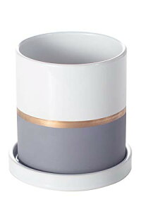 Ekirlin 픫 Aؔ v^[  ~` ϗp 󂯎Mt  ϗtA k  ʋC  lTCY(10.6cm)