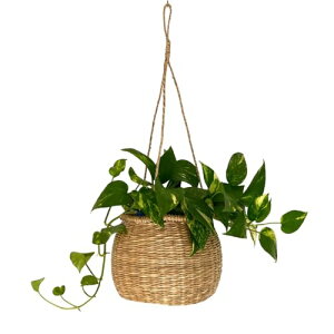 i`V[OX݂艺v^[ ݂邷ϗtA ݂邷 CeA G ݂艺 ϗtA ݂邷  nMO oXPbg ݂邷[ Aؔ vgnK[ JS [v