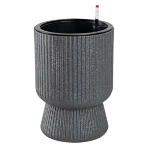 iikuru Aؔ  k v^[ vX`bN  ϗtA  Ԕ