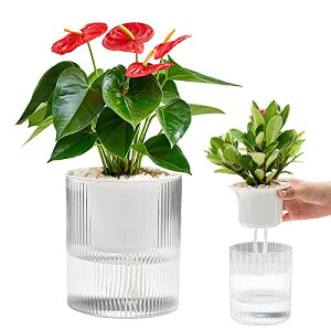 SENUN Xbg Jo[ 5 v^[  gC k Aؔ  zЂ g[  k͔|  vX`bN v^[X^h NA Vv  |pi 