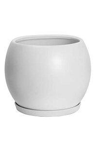 Ekirlin Aؔ 픫    󂯎Mt  v^[ A ϗtA 5 13cm ꌊ k   CeA zCg