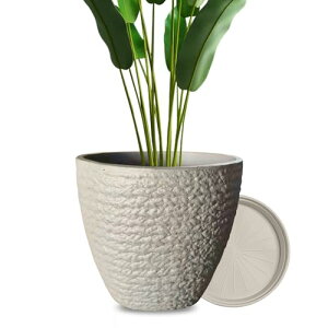 DADAGUAIi__OACj v^[ ϗtA 󂯎Mt ^  AؔX^h   rt 󂯎M y  Op ی^ Aؔ vX`bN (̐F, ی^-20#)