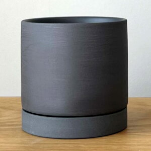 inakougei (CiREQC)   Aؔ 픫 Mt   ^ Vv k 3 a 8.5cm CeA ϗtA A ؍ (}bgubN)