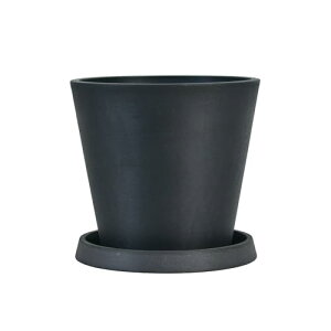 Greenship Aؔ 7 (20cm 󂯎Mt vX`bNΕ }bg