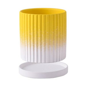 AeroorAؔ  Aؔ  v^[ Jo[   Aؔ  ^ Jo[   Jo[ Aؔ   Mt v^[ v^[ (CG[+