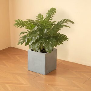 Aؔ  ^v^[ y y 󂯎M M  M p Op Jo[ A t[ A AEghA K[f x_ k (O[+`, S-30cm*30cm)