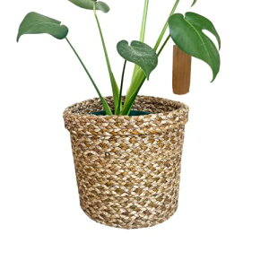 V[OX v^[oXPbg (uE, MTCY) Jo[ Aؔ | v^[ oXPbg 6 7 p v^[ Jo[ v^X^h ϗtA A V[OX v^