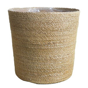 Jo[ 8 炩 8p CeAJo[ y ϗtA  CeA