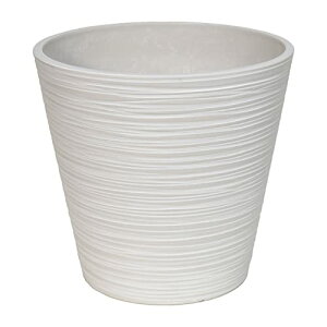 LEAD STYLE GRth[|bg31 zCg EGPL3129WH [h [hX^C TCY31×H29cm 8 Jo[ Vv  