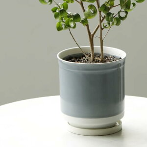 Leaf88 { Aؔ 󂯎Mt 10.5x11.5cm 3.5 g (O[x)