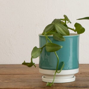 Leaf88 { Aؔ 󂯎Mt 10.5x10.5cm 3.5 g (^[RCYx)