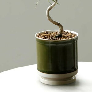 Leaf88 { Aؔ 󂯎Mt 10.5x11.5cm 3.5 g (x)