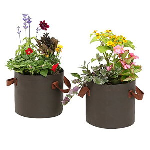 AXg sDz|bg uE 7TCY 2g v^[ | Aؔ A A琬 ؍͔| 622-03