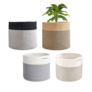 [RR`G] Jo[  v^[ Jo[ 10 oXPbg [   [v CeA |bg Aؔ  x[W (zCg×O[)