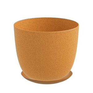 DEPOS f|X Aؔ RGR|bg  ݂ 󂯎Mt IW 10 Jo[