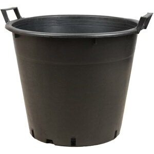 i[Z[|bg 45cm AؔJo[ ubN 35bg Aؔ   y   ^ tȍ dj-rp4537