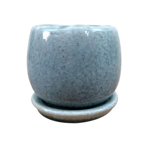 Aؔ  |bg AWL Jo[ (O[)