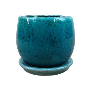 Aؔ  |bg AWL Jo[ (u[)