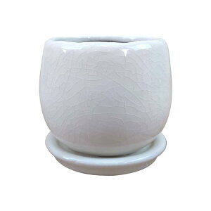 Aؔ  |bg AWL Jo[ (zCg)