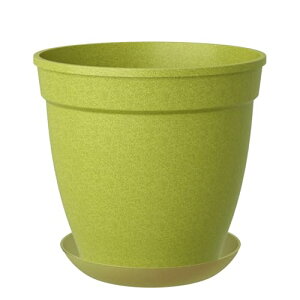 DEPOS f|X Aؔ RGR|bg  ݂ 󂯎Mt A{Jh 6