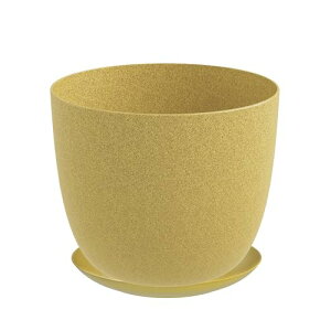 DEPOS f|X Aؔ RGR|bg  ݂ 󂯎Mt CG[ 10