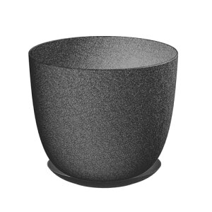 DEPOS f|X Aؔ RGR|bg  ݂ 󂯎Mt (ubN, 10)